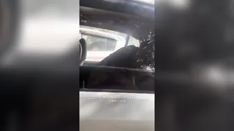College Babe From Up Getting Nailed Hard Inside Parked Car