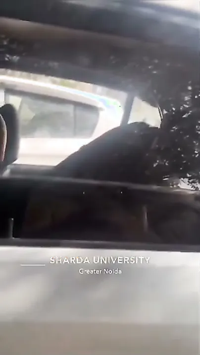 College Babe From Up Getting Nailed Hard Inside Parked Car