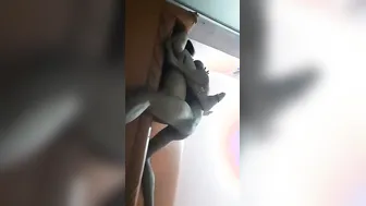 Village GF Giving Sloppy Blowjob Before Getting Fucked On Camera