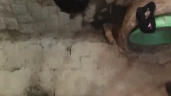 Village Bhabhi Getting Drilled In Leaked Homemade Sex Tape
