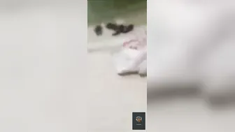 Professional Slut Servicing Client Caught On Hidden Camera