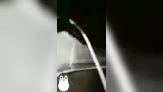 My GF Stripping Naked On Video Call Touching Herself