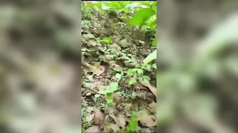 Village Aunty With Hairy Pussy Getting Fucked Outdoors Leaked