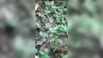 Village Aunty With Hairy Pussy Getting Fucked Outdoors Leaked