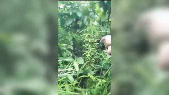 Odia GF Getting Naughty Outdoors In Leaked Steamy Mms