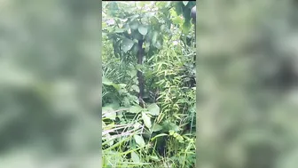 Odia GF Getting Naughty Outdoors In Leaked Steamy Mms