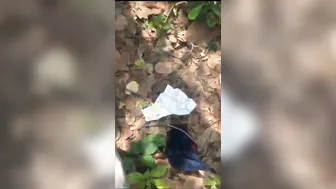 College GF Getting Fucked Outdoors Hidden In The Jungle