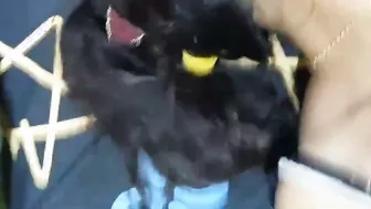 Shy Babe Letting Me Squeeze Her Tits Before Fucking Her Tight