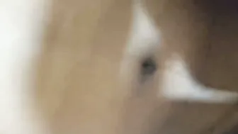 Shy Babe Letting Me Squeeze Her Tits Before Fucking Her Tight