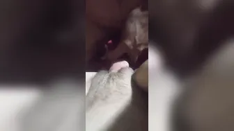 Married Wife Getting Pounded Hard By Lover In Secret Apartment