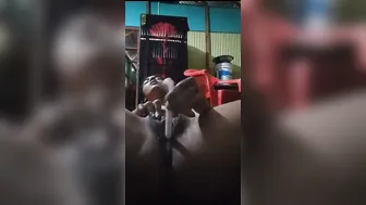 Horny Bengali Babe Fucking Her Tight Ass With Big Dildo Alone