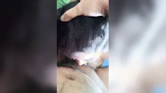 Chubby College GF Giving Her First Blowjob On Camera