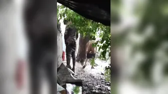 Paid Slut Getting Fucked Outdoors When Condom Breaks Hard