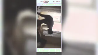 South Indian Actress Sucking Dick In Private Leaked Sex Tape