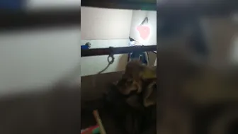 Caught My Aunt Bathing Completely Naked From Hidden Bathroom Angle