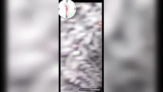 Video Call Sex With Busty GF Showing Her Boobs Closeup