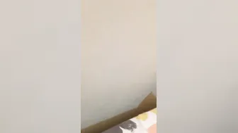 Cute GF Sucking Her Boyfriend Dick Leaked Homemade
