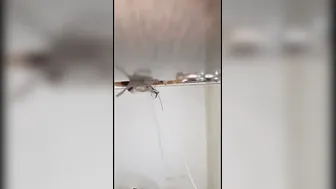 Married Aunty Getting Pounded Deep By Younger Lover At Her Home