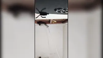 Married Aunty Getting Pounded Deep By Younger Lover At Her Home