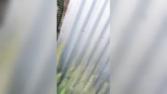 Busty Milf Bathing Completely Naked Outdoors Caught On Video