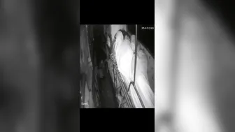 Late Night Train Encounter With Rajasthani Couple Getting Wild