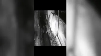 Late Night Train Encounter With Rajasthani Couple Getting Wild
