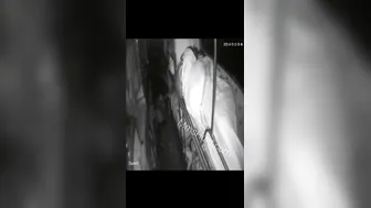 Late Night Train Encounter With Rajasthani Couple Getting Wild