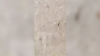 Spying On Friend's Mom Bathing Naked Caught Under Door