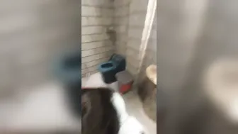 Horny GF Giving Her First Ever Blowjob On Camera