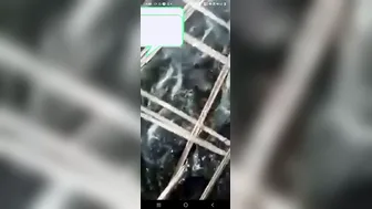 Cute GF Showing Sharp Boobs During Video Call Tease