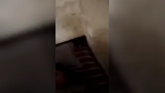 Village Bhabhi Getting Her Boobs Pressed Before Wild Fucking