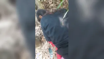 College Girl Having Wild Outdoor Sex With Bf In The Jungle