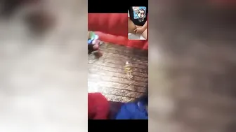 My Girl Spreading Legs Wide Showing Off Pink Pussy On Live Call