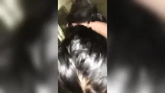 My GF Blowing Me In Our Hotel Room Down Under