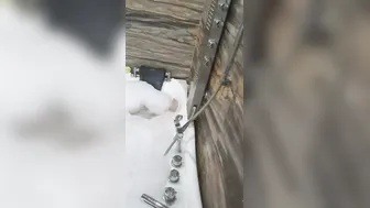 Classy Newlyweds Fucking Hard During Honeymoon Getaway