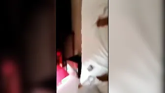 Horny College Couple Fucking Hard In Cheap Hotel Room