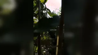 Village Slut Getting Railed Outside In The Open Fields