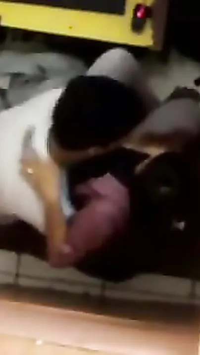 Desi mms Indian sex scandal of sexy Bangalore beauty Sanya