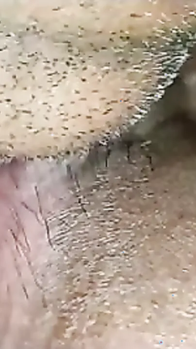 Indian porn hawt video of desi wife getting twat eaten  HD