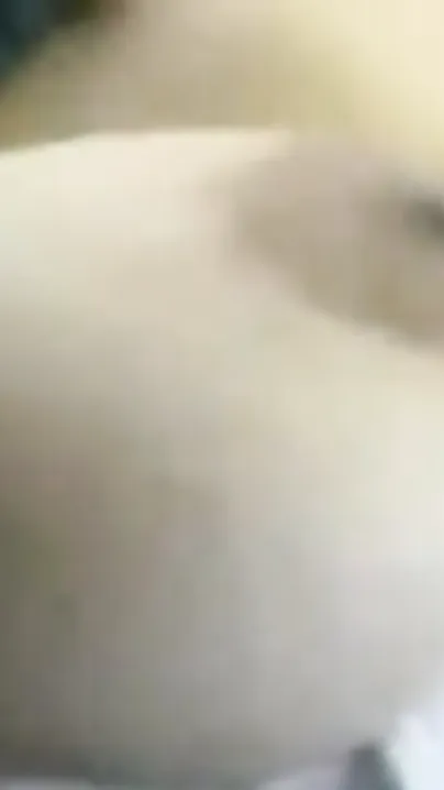Horny Indian Wife Spreading Her Legs Needing You Inside
