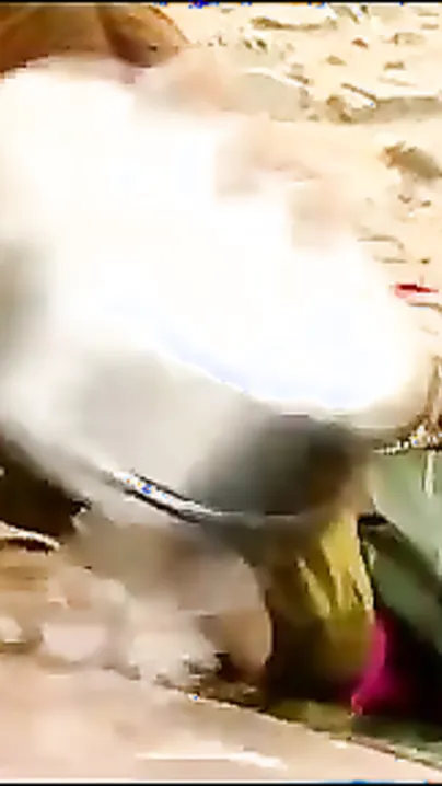 Indian Couple Finding Perfect Rhythm Fucking Hard