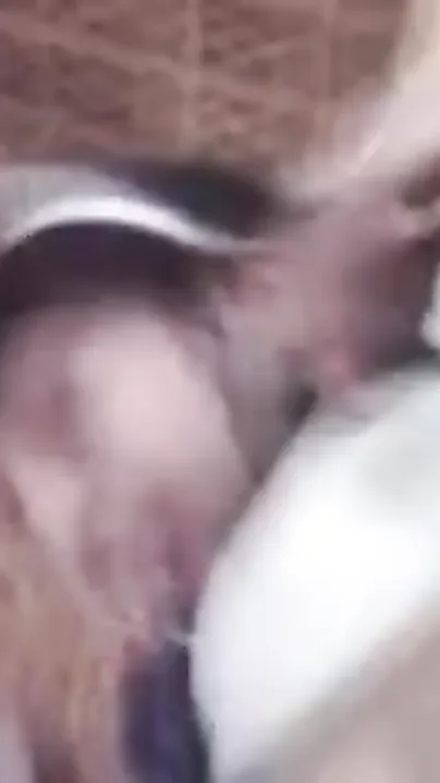Indian Slut Offering Tight Holes Filled With Cum
