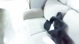 Perfect Indian Tits For You To Cum On Right Now