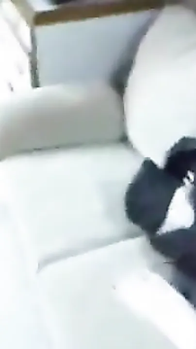 Perfect Indian Tits For You To Cum On Right Now