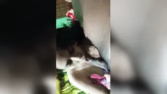 Wife Deepthroating Long Cock Before Getting Pussy Fucked