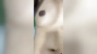 Angry GF Getting Her Shaved Pussy Pounded Hard