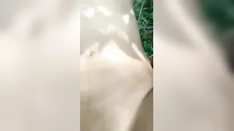 Village GF Fucking Her Lover Outdoors On The Grass