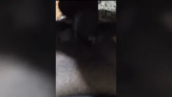 Dusky Milf Gets Wet Pussy Fucked After Giving Blowjob