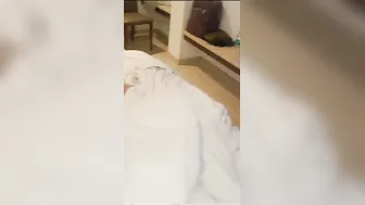 Paid Slut Fucking Two Guys In Hotel Room Threesome