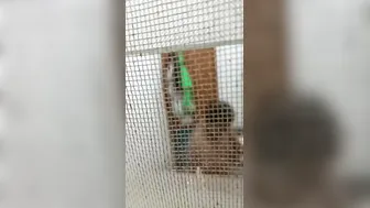Milf With Huge Tits Naked In Bathroom Caught On Camera